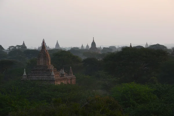 Campo Pagoda Bagan Myanmar Por Mañana — Foto de Stock