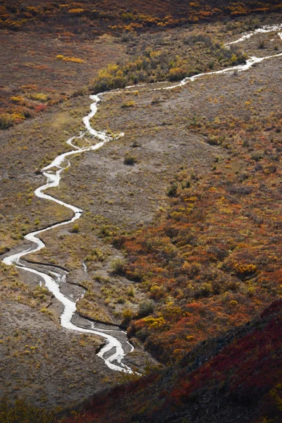 Rivier in denali — Stockfoto