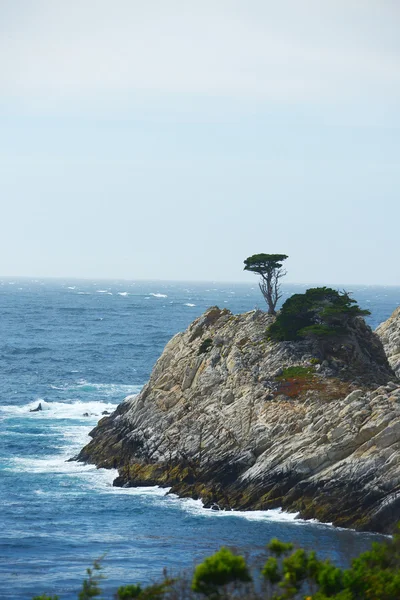 Une côte californienne — Photo