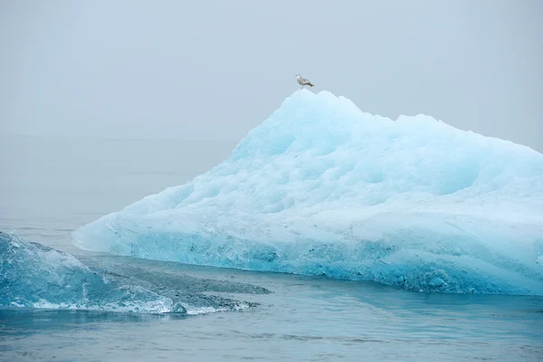 Iceberg azul — Fotografia de Stock