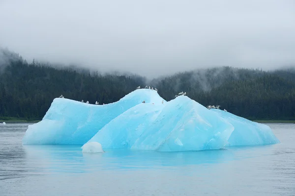 Kék jéghegy — Stock Fotó