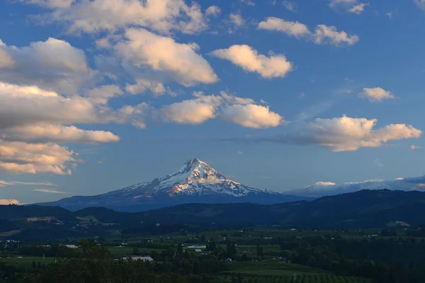 Mount Hood — Stockfoto