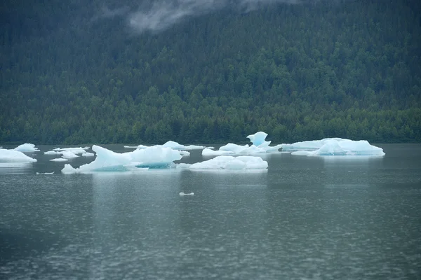 氷山フロート — ストック写真