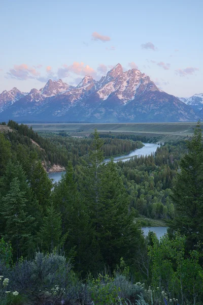 Snake river over het hoofd — Stockfoto