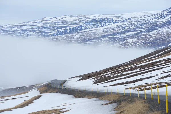 Ghiandaia strada invernale — Foto Stock