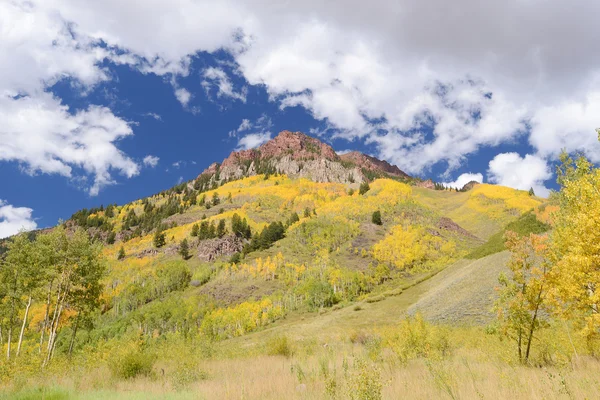 Aspen with mountain — Stock Photo, Image