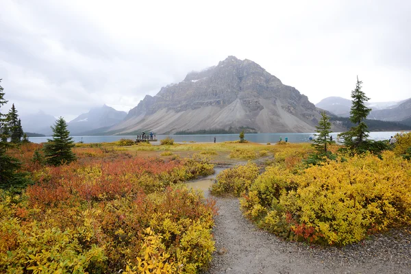 Bow lake — Fotografie, imagine de stoc