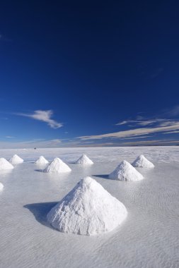 salt farm
