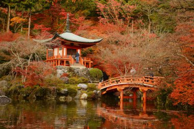 Kyoto Tapınağı
