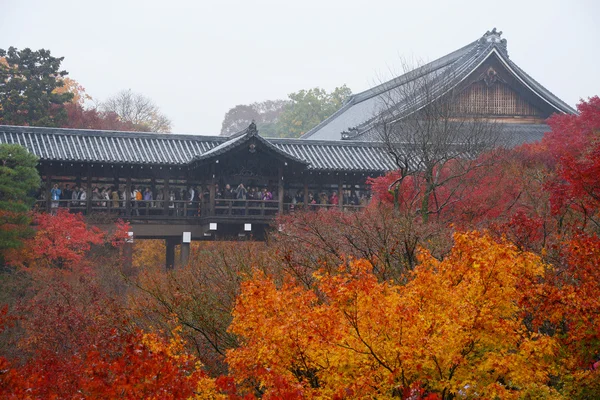 Kleurrijke maple in tempel — Stockfoto