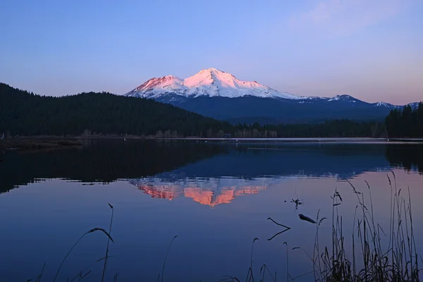 Monte shasta riflessione — Foto Stock