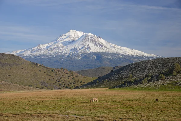 Mount Shasta — Stockfoto