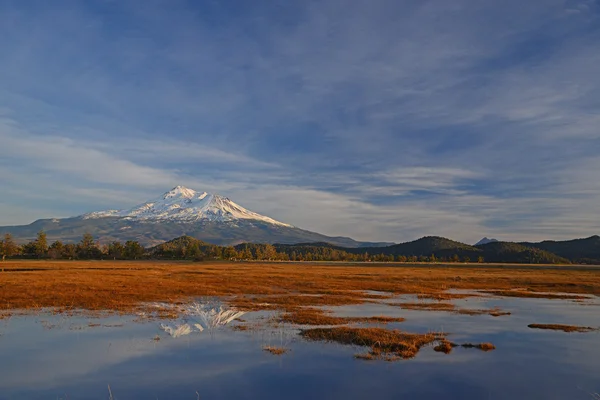 Mount shasta — Stock Photo, Image