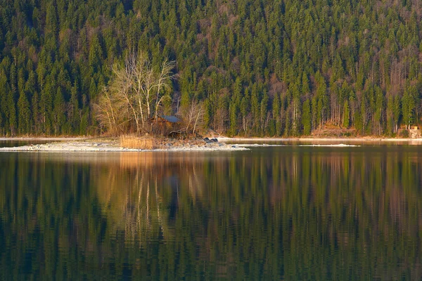 Weerspiegeling van bomen — Stockfoto