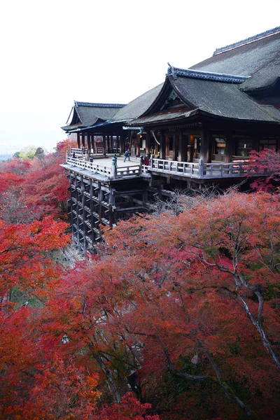 sonbaharda yapraklar Kyoto