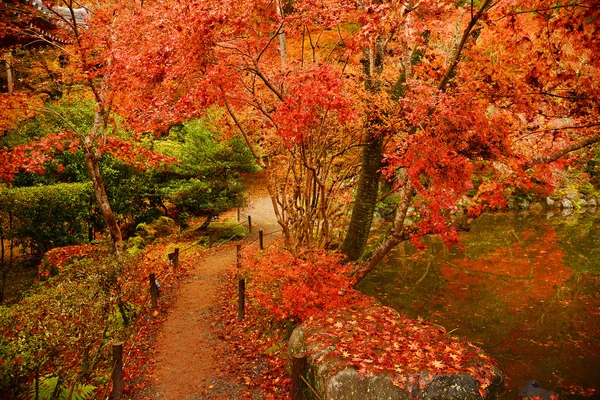 Path of autumn — Stock Photo, Image