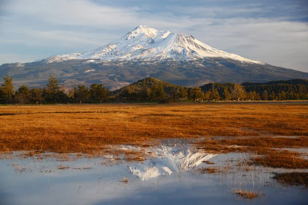 Monte Shasta — Foto de Stock