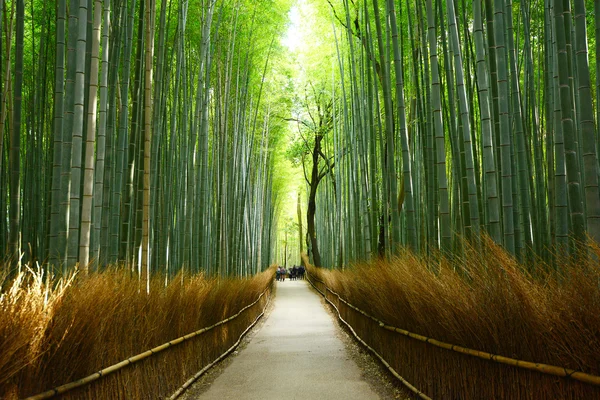 Ranhura de bambu — Fotografia de Stock
