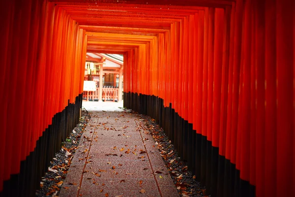 Japon tapınak yolu — Stok fotoğraf