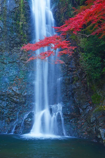 Wasserfall mit Ahorn — Stockfoto