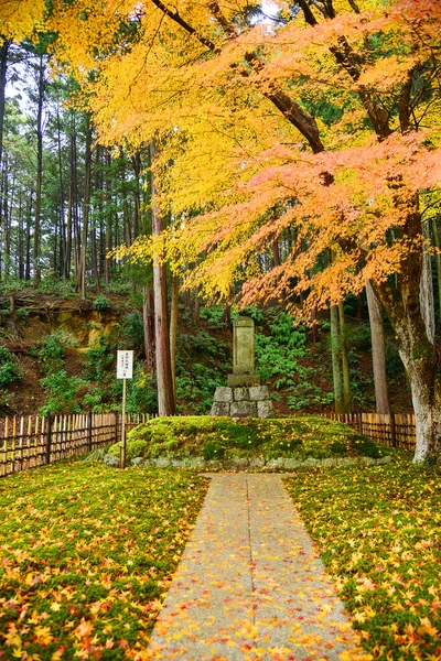 Colorful maple in temple — Stock Photo, Image