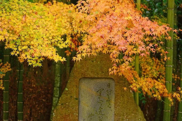 Bordo em kyoto — Fotografia de Stock