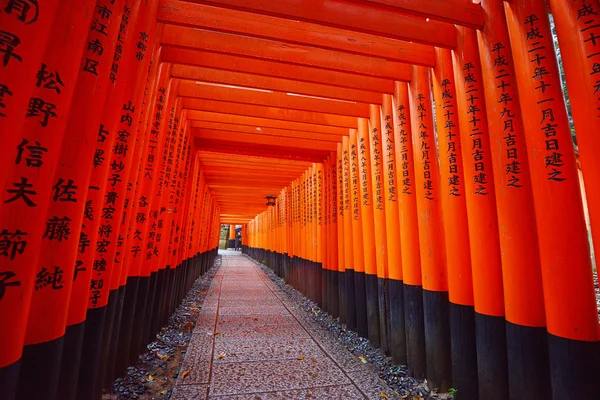 Sentiero del tempio giapponese Fotografia Stock