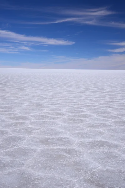 Modèle de sel de la Bolivie — Photo