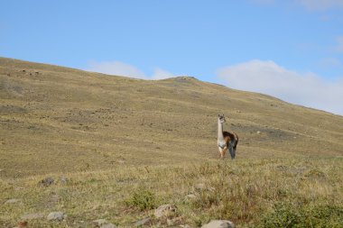 çok Patagonya Dağı