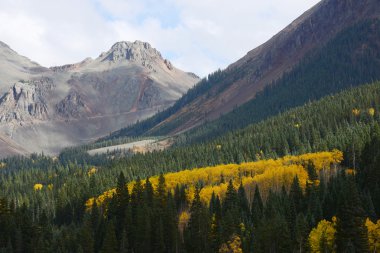 Aspen san Juan