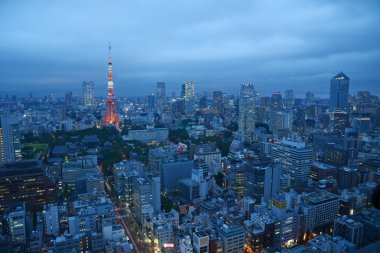 Tokyo Tower görünüm