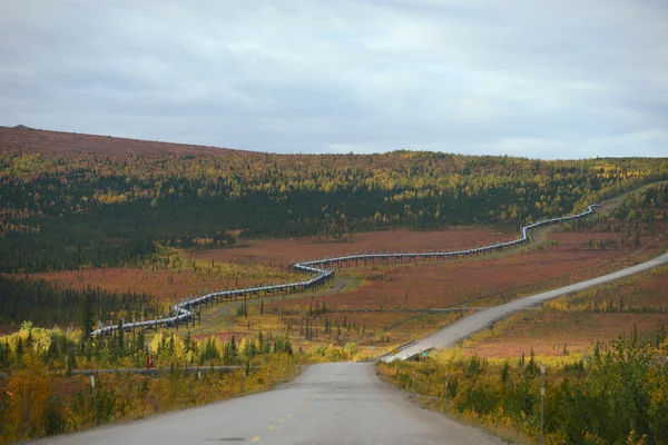 Dalton highway weergave — Stockfoto