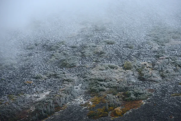 Sneeuw in alaska — Stockfoto