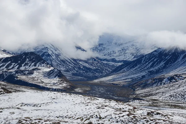 Denali nieve paisaje — Foto de Stock
