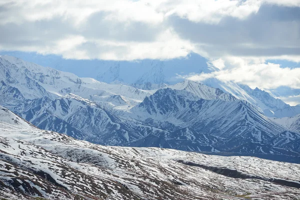 Denali neve paisagem — Fotografia de Stock