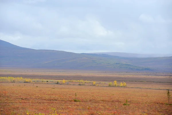 Tuntra czerwony jesień alaska — Zdjęcie stockowe