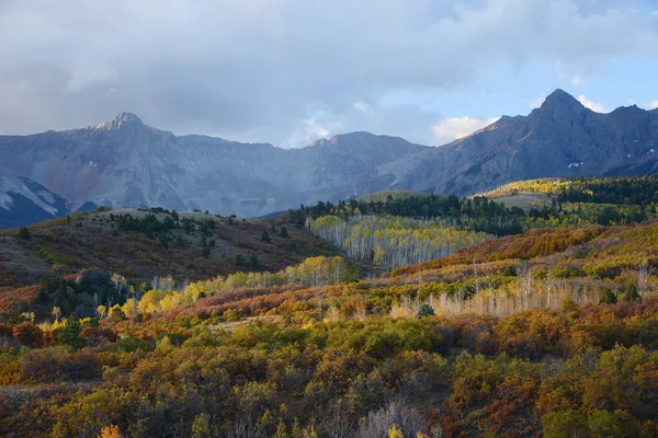 Aspen em San Juan — Fotografia de Stock