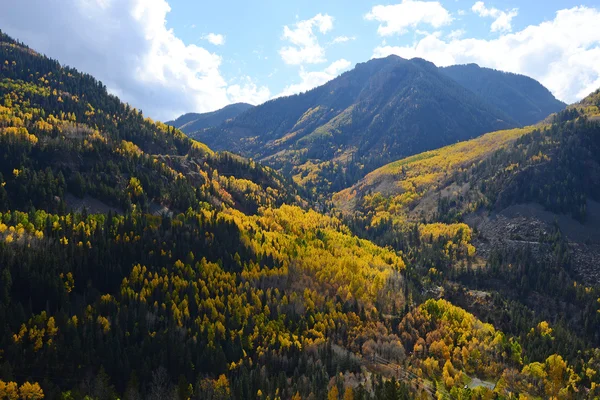 Aspen san Juan — Stok fotoğraf