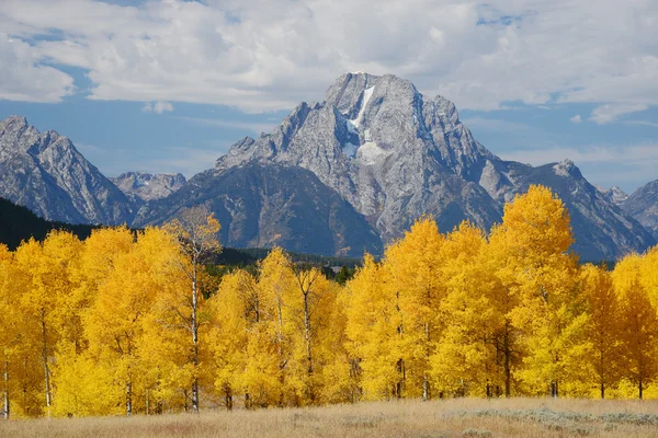 Grand Teton syksy — kuvapankkivalokuva