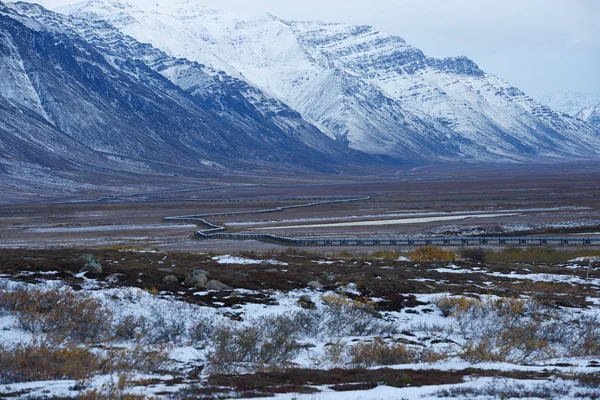 Alaska berg met sneeuw — Stockfoto