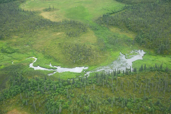 Alasca vista aérea — Fotografia de Stock