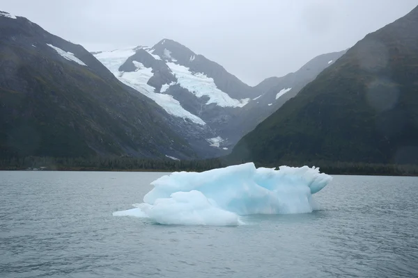 Iceberg del ghiacciaio del portage — Foto Stock