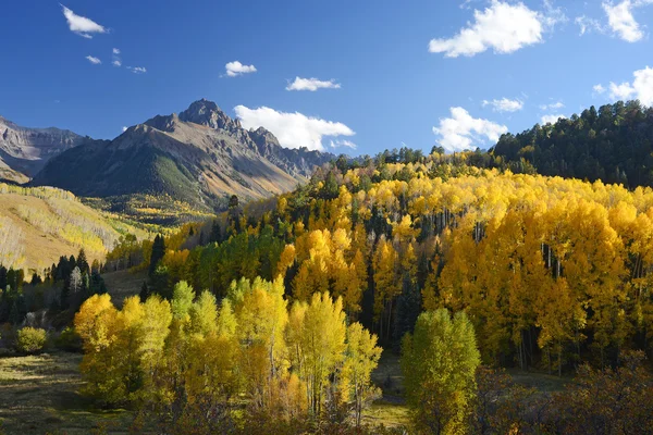 Aspen san Juan — Stok fotoğraf