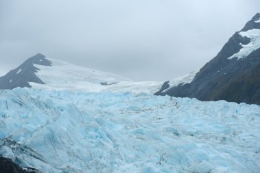 Portage glacier buz