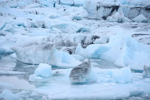 Icebergs na Islândia — Fotografia de Stock