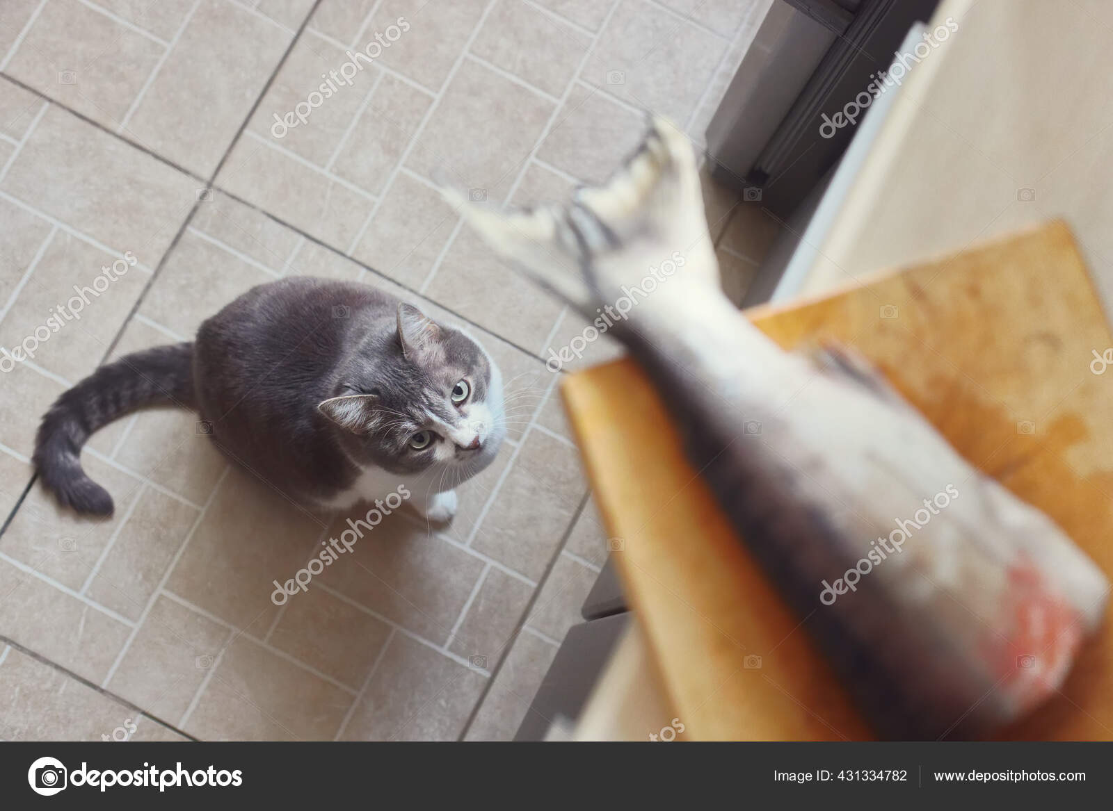 Кот ворует рыбу. Кот воровал рыбу мясо. Кот воровал рыбу мясо. Кот и красная икра. Кот ворует рыбу.