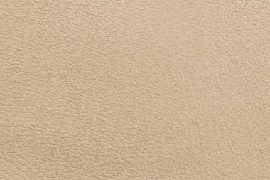 Delinmiş deri dokusu. Boş renkli bir yüzey. Bir tasarım için boş ya da bir web sitesi için şablon. Soyut arkaplan.