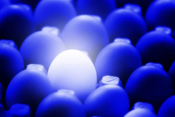 Mavi soğuk yumurtaların arasında parlayan beyaz tavuk yumurtası. Diğer nesneden alışılmadık ya da farklı. — Stok fotoğraf