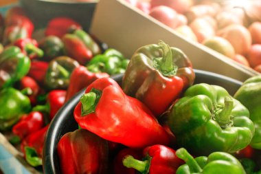 Bu köy bahçesinden yeni bir sebze mahsulü. Bir sürü kırmızı olgun domates ve tatlı biber.