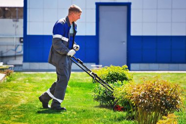 Genç bir adam üretim alanında yeşil bir çimenlikte çim biçme makinesiyle yürüyor..